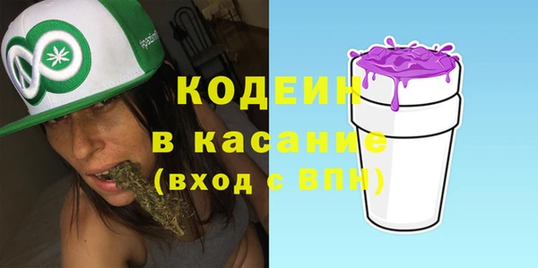 индика Бежецк