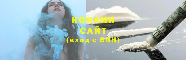 индика Бежецк