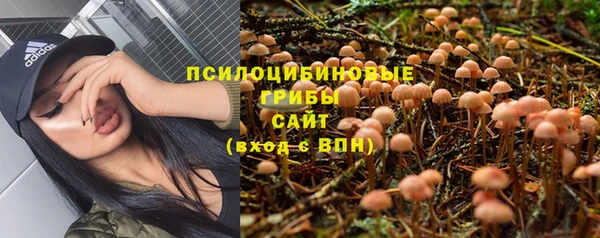 индика Бежецк
