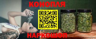 сатива Абинск
