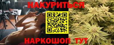 сатива Абинск