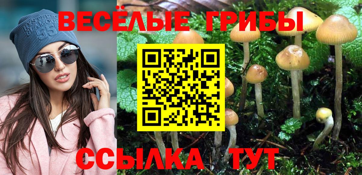 закладки  Вход с VPN  Анапа  Галлюциногенные грибы Cubensis 