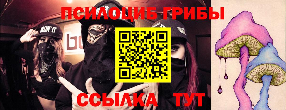 Галлюциногенные грибы Psilocybine cubensis Анапа