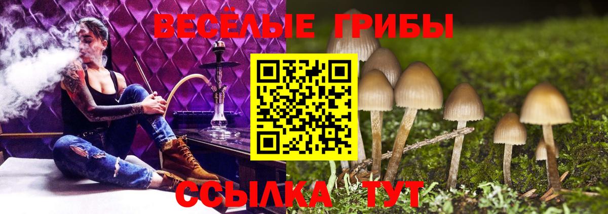 Галлюциногенные грибы ЛСД Анапа